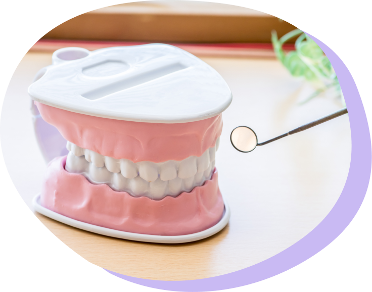 05 高齢期の“噛む力”を守る